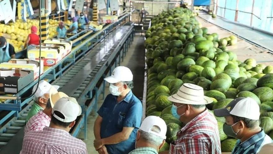 Exportaciones melones y sandias desde Panamá a Estados Unidos.