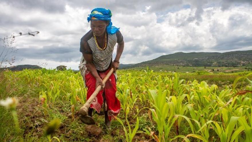 Una mujer en Angola realiza trabajos en sus cultivos