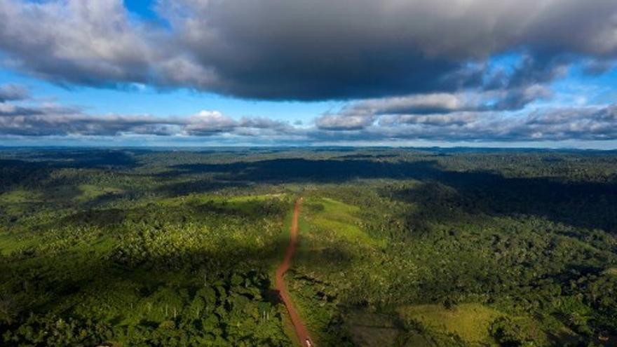 Foto ilustrativa: La Amazonía se ha visto afectada por la acción implacable del ser humano