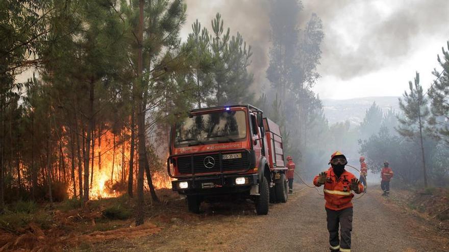 Bomberos combaten incendios forestales en Portugal