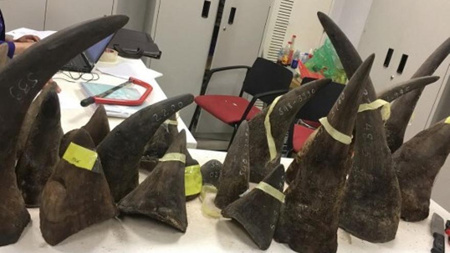 Cuernos de rinoceronte decomisados en Vietnam