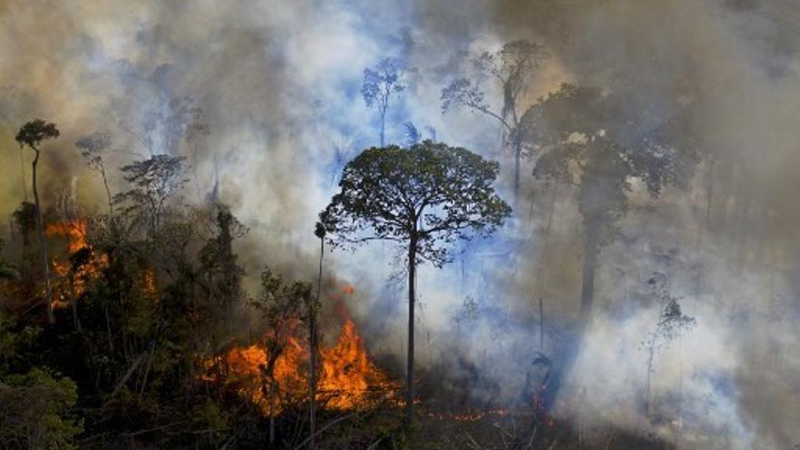 Incendios forestales aumentaron en Brasil durante 2020