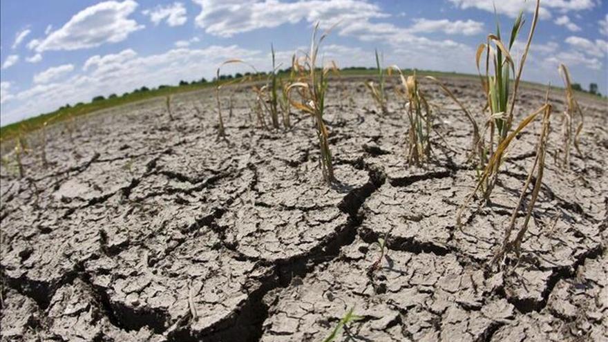 Un campo árido por las fuertes sequías