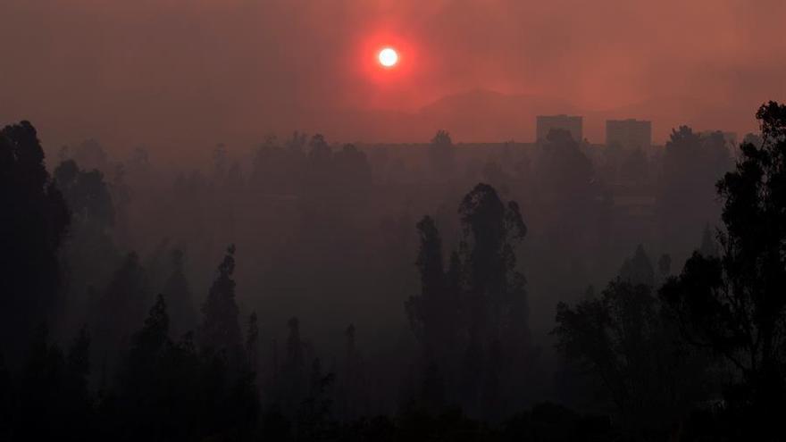 Fotografía de un sector afectado por un incendio ayer, en la comuna de Quilpué