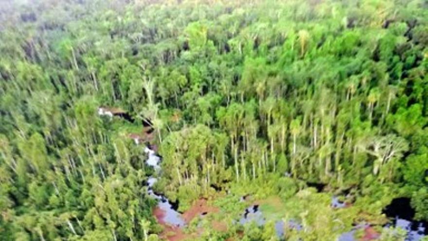 Vista aérea del derrame de petróleo en selva peruana