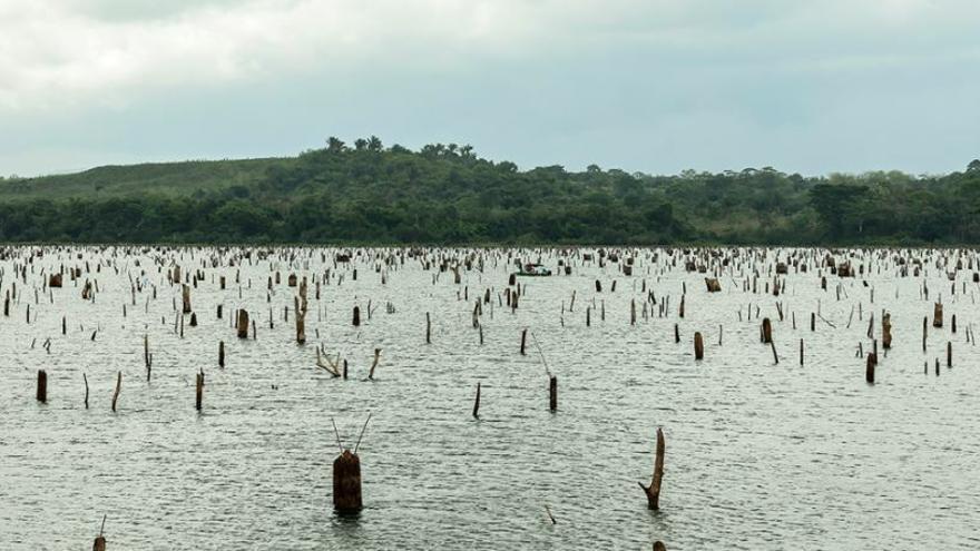Lagos Alhajuela y Gatún se mantienen por debajo del nivel guía. Foto/ACP