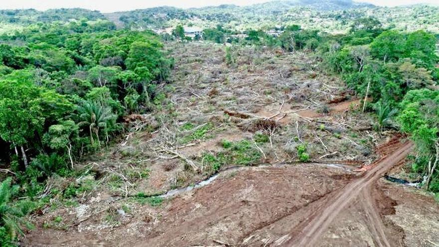 Narcotráfico acentúa deforestación en Darién