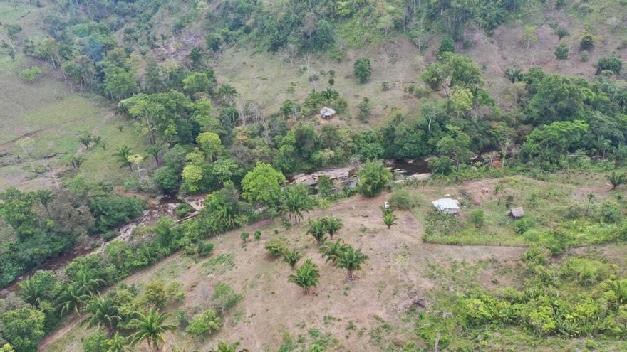 Vista aérea de una zona forestal panameña