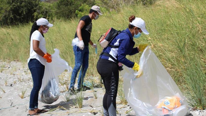 Voluntarios durante limpieza de playas