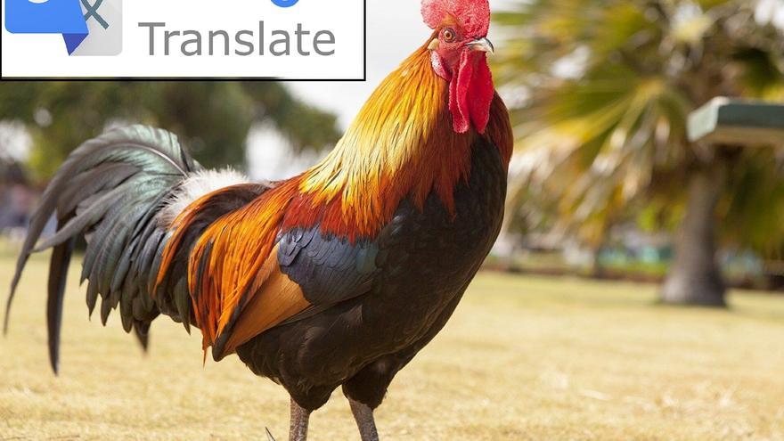 Google traductor: Se hace viral: La extraña forma en la ...